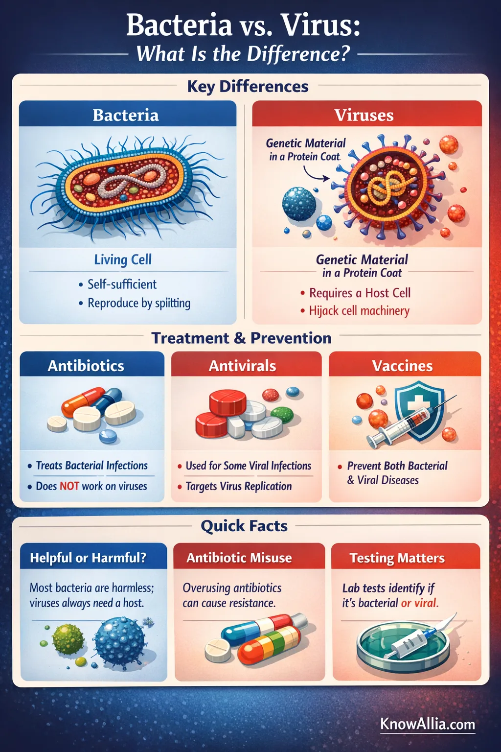 Bacteria and viruses are shown with labeled illustrations, highlighting their difference in structure.