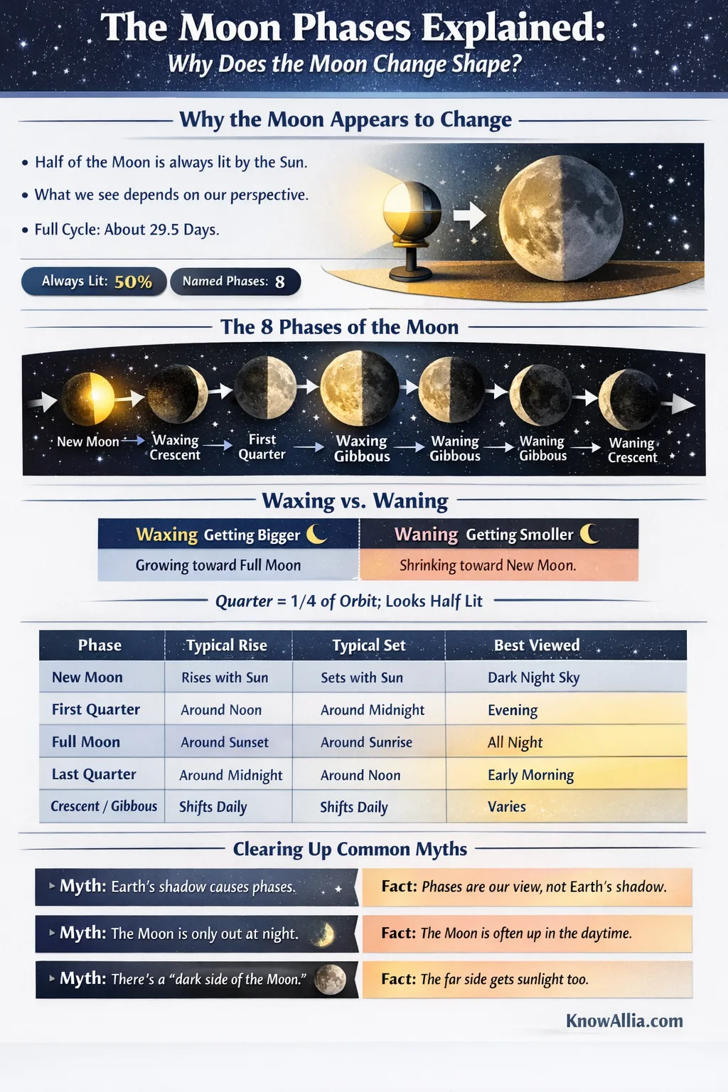 The infographic shows the moon's changing shape during its phases, including a full moon and crescent moon.