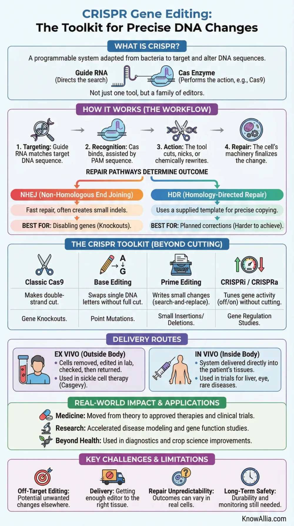 CRISPR gene editing explained, showing how the technology alters DNA with precision and potential applications.