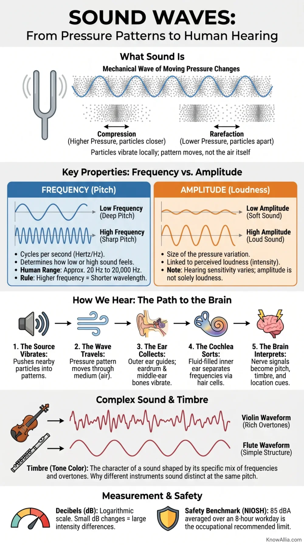 Sound waves: how frequency and amplitude shape what we hear and affect our perception of sound.