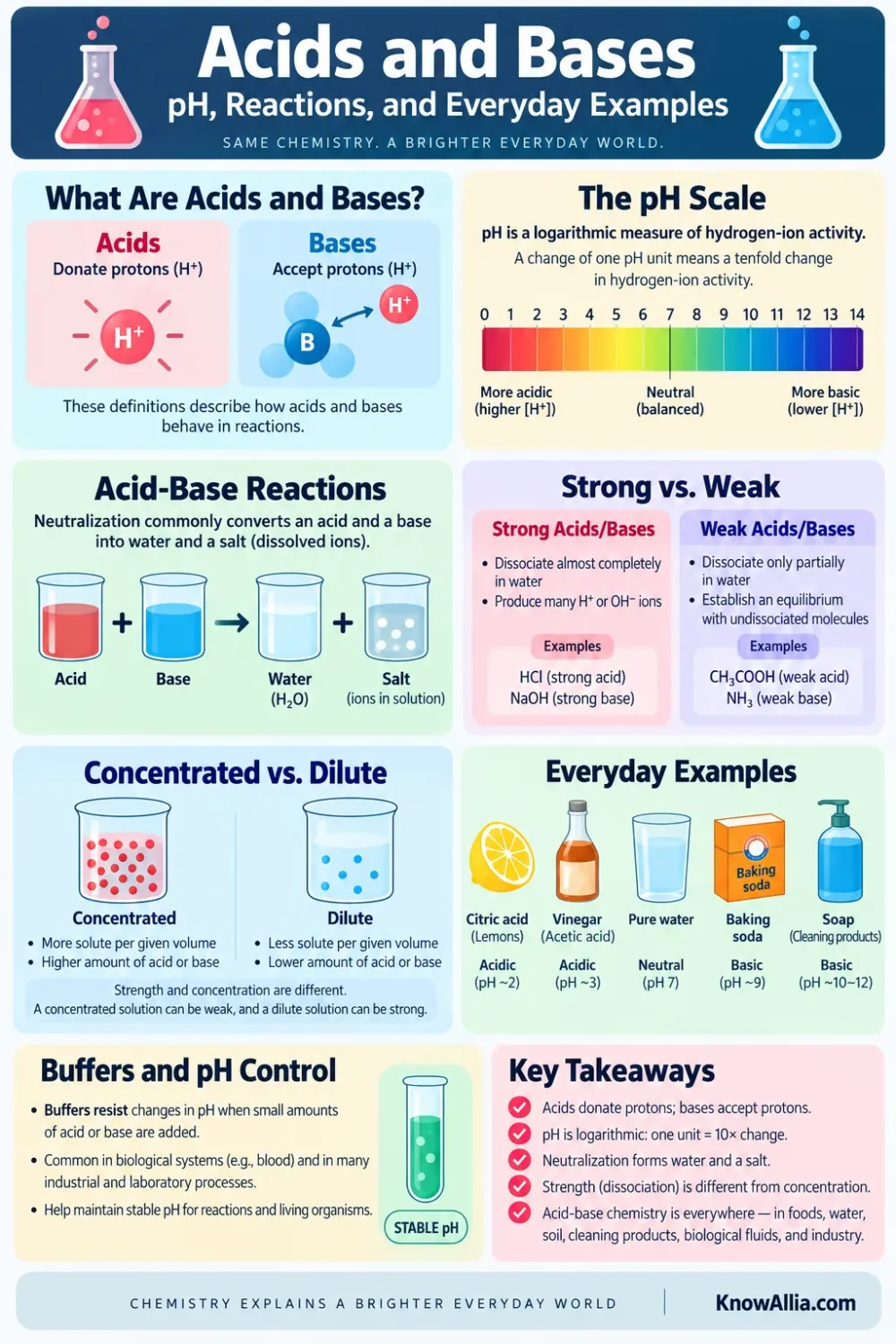 Acids and bases explained with pH levels, reactions, and everyday examples for better understanding.